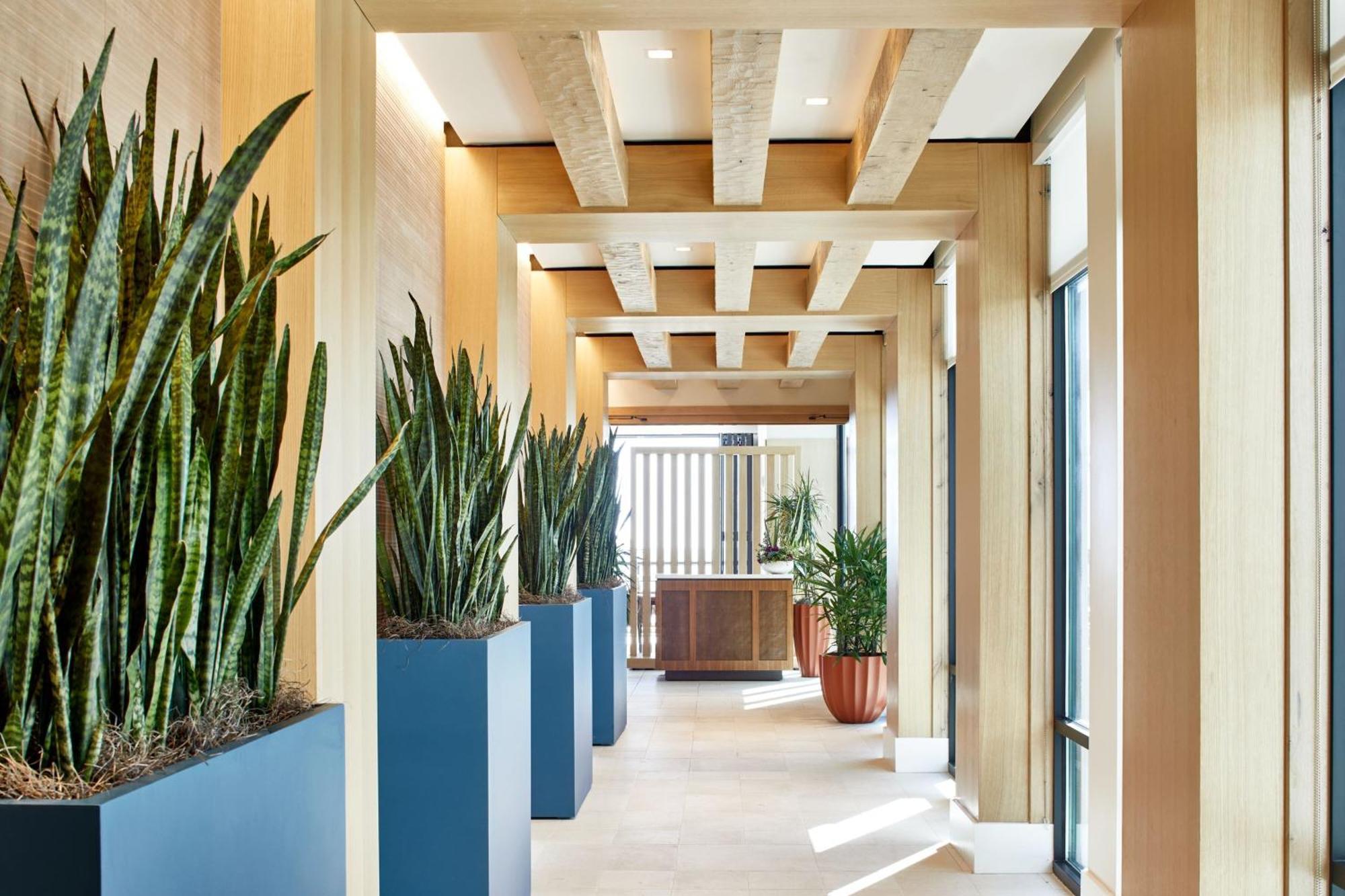 Springhill Suites By Marriott Jacksonville Beach Oceanfront Zewnętrze zdjęcie